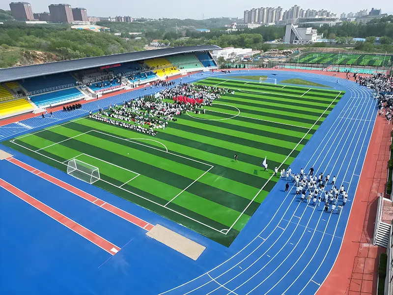 UNIVERSITAS DALIAN